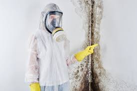 Best Environmental Consulting for Mold Prevention  in Satellite Beach, FL